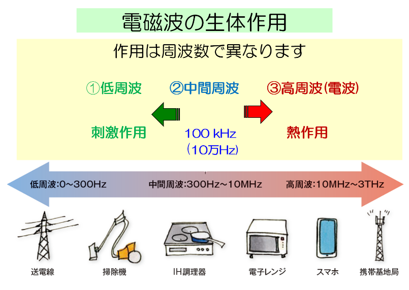 生体作用